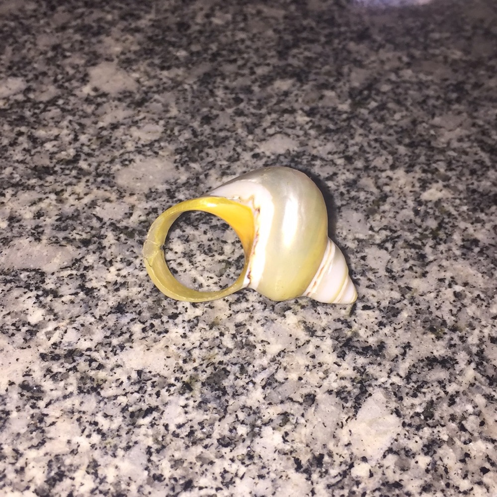 Shell ring